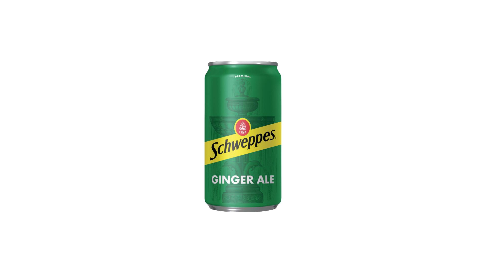 SW_GingerAle_7p5oz_Can_Dry