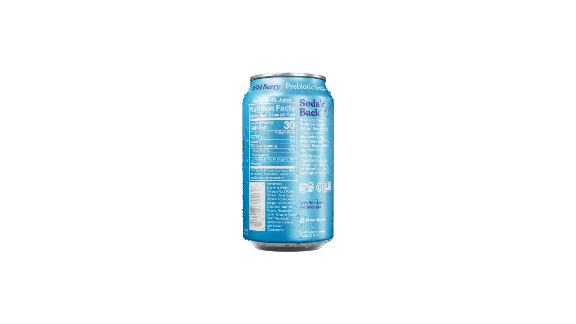WildBerryBack_Condensation